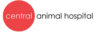 Central Animal Hospital | Savannah veterinarians