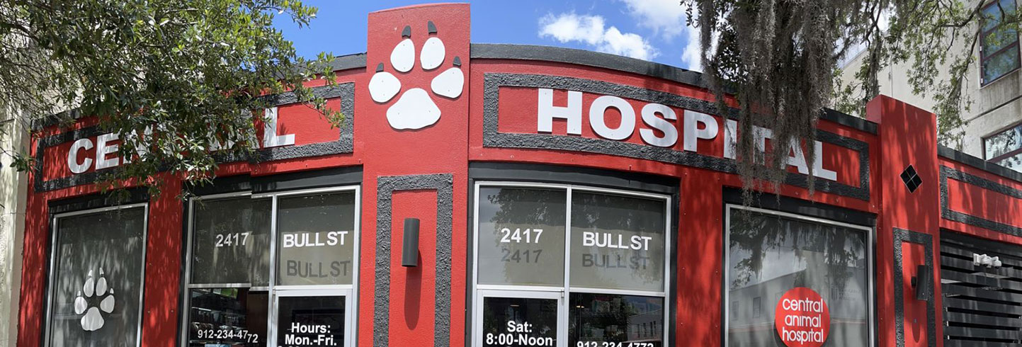 Savannah veterinarians